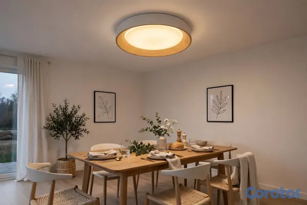 decoración y accesorios - Lámpara de techo led
 7