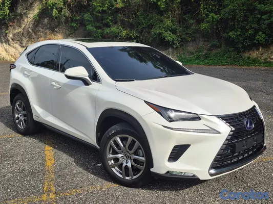 jeepetas y camionetas - Lexus NX300h Hybrid AWD 2020 | Delta Comercial | Único Dueño 18