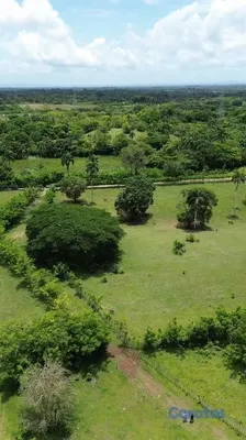 solares y terrenos - Terreno de 1,037,625 m² en venta en La Victoria 7