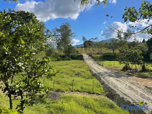 solares y terrenos - EDÉN 1ro🌳❤️ 3
