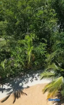 solares y terrenos - Exclusive Lots with Beach Access in Las Terrenas, Samaná 9