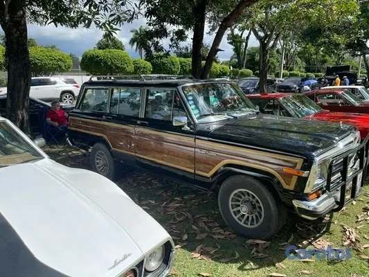 jeepetas y camionetas - Jeep *Grand Wagoneer* 1988 en muy buenas condiciones 5