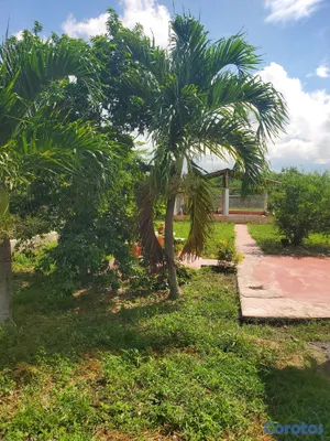 casas - Casa en Santiago, Villa Bao 8