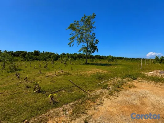 solares y terrenos - Terreno de 842 m² en Punta Popy, Las Terrenas 5