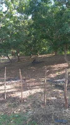 solares y terrenos - se vende terreno en San Cristóbal ideal para villa o 🏡 casa de campo  4