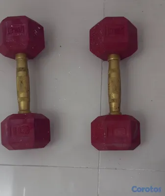 Artículos Deportivos - Set de pesas Gold’s Gym y Everlast – Kettlebell 50 2