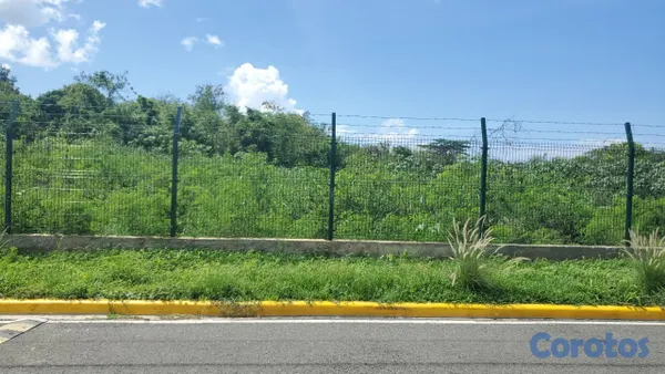 solares y terrenos - Solar de 62,000 metros en Boca Chica, carretera Ju 3