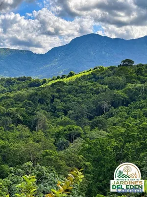 solares y terrenos - 150 TAREA X 2.5 / LA LOMITA, VILLA ALTAGRA📍🤯 3