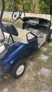 Carrito de golf