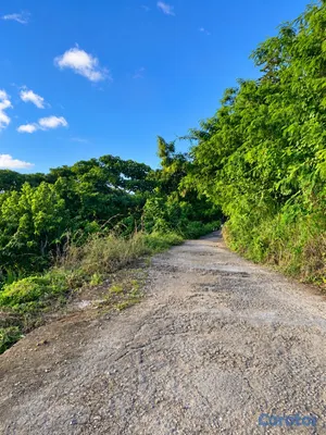 solares y terrenos - Solar 1,523 m² con vista panorámica en Pueblecito, Las Terrenas – US$122,000 7