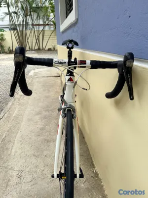 bicicletas y accesorios - Fiji SS T 2 carbon  6