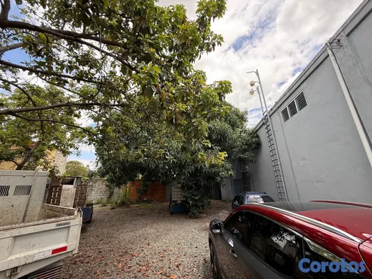 oficinas y locales comerciales - Nave en Alquiler  13