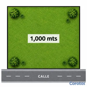 🔵 Alquilo solar 1,000 mts en Naco