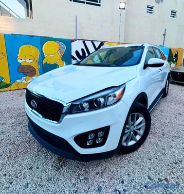 servicios profesionales - 🚗 Renta de Vehículos en Santo Domingo | Rápido, Seguro y al Mejor Precio 6