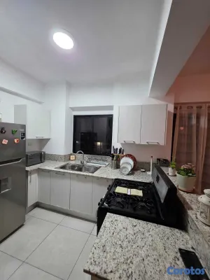 apartamentos - alquiler de apartamento amueblado en el millon  13