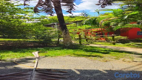 solares y terrenos - 🌿✨ ¡Finca Ecoturística en San Antonio de Guerra! ✨🌿 9