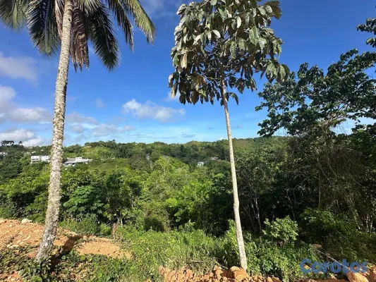 solares y terrenos - Solares con vista a la montaña en Las Terrenas – desde US$21,300 5