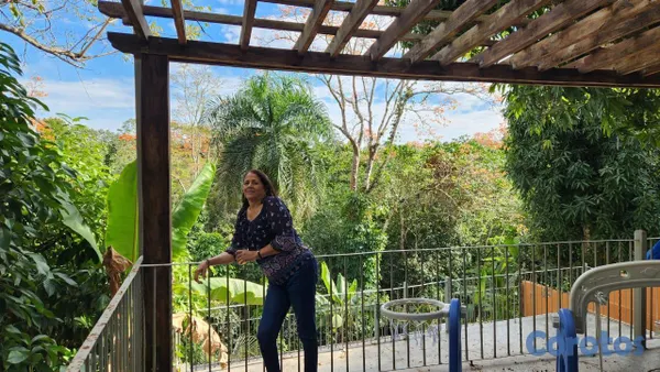 solares y terrenos - En Venta Finca Agricola en Villa Altagracia con Cacao, Aguacate y chinola 4