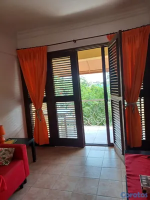 apartamentos - APARTAMENTO AMUEBLADO EN ALQUILER EN LA ZONA COLON 5