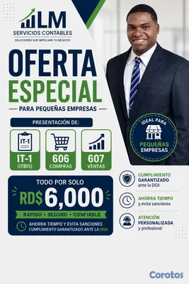 servicios profesionales - Servicios de igualas contables para pequeñas empresas y personas físicas 2