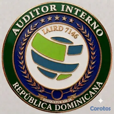 servicios profesionales - constitucion de empresas auditoria licitaciones proveedor del estado  2