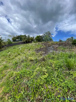solares y terrenos - DOS TERRENOS EN VENTA CON VISTA AL MAR 4
