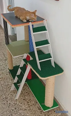 animales y mascotas - Área de juego para gatos  5