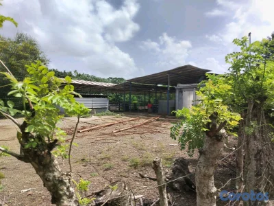 finca de 3000 tareas con vocación agrícola en Monte Plata 