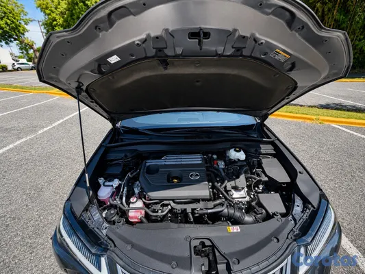 jeepetas y camionetas - Lexus UX300h 4