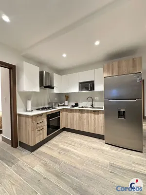 apartamentos - Apartamento en renta de Lujo en Cap Cana con Terra 20
