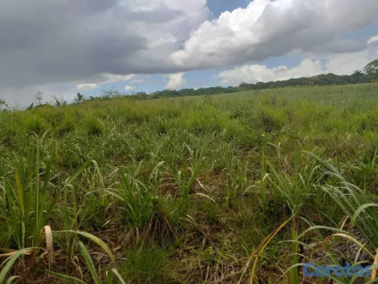 solares y terrenos - POTENCIAL PROYECTO AGROPECUARIO O ENERGÍA SOLAR   3