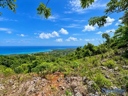 solares y terrenos - Terrenos en La Noria, Cosón desde US$70,000 – Con y sin vista al mar 8
