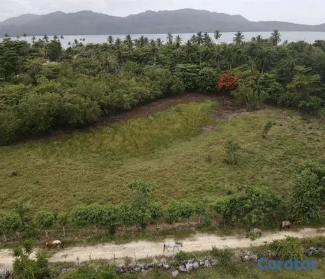 solares y terrenos - Oportunidad Única: Terreno de 6,510 m² a Pasos de la Playa 3