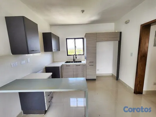 penthouses - PENTHOUSE AREA SOCIAL Y TERRAZA PRIVADA PROXIMO LO 10