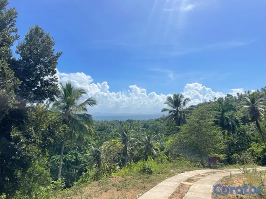 solares y terrenos - Vendo Terreno entre La Pascuala-Río los Cocos,SAMANÁ,Rep.Dominicana  7