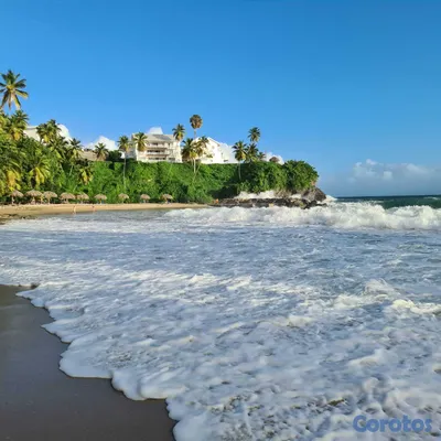 apartamentos - Apartamento en Venta 1 Hab Vista Mare Samaná 14