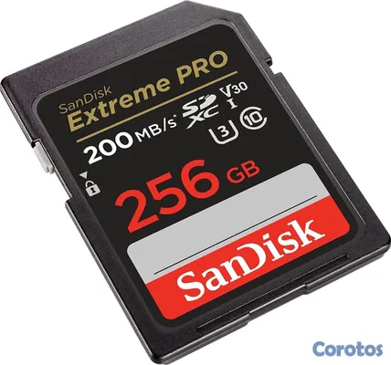 accesorios para electronica - Memoria SD 256GB 2