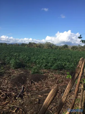 solares y terrenos - Finca en Villa Tapia, Salcedo 4