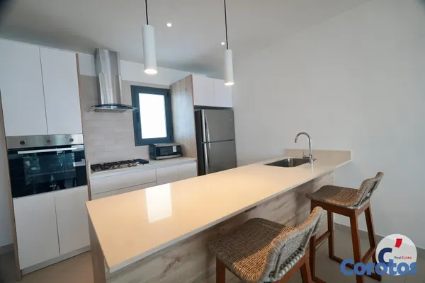 apartamentos - Penthouse Amueblado de 3 Habitaciones en Renta en  10