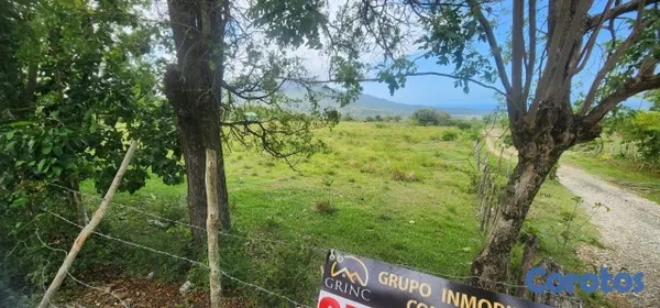 solares y terrenos - Solar en VENTA 15