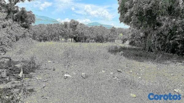 solares y terrenos - VENDO SOLAR EN JARABACOA 7