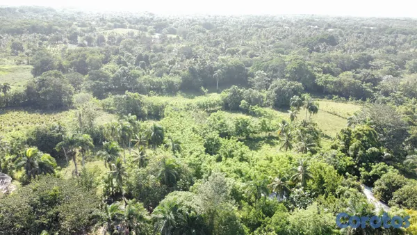 solares y terrenos - Se Vende Terreno de 77.01 Tareas 3