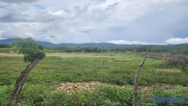 solares y terrenos - Solar en venta Gurabo Abajo, la Cruz gorda 8