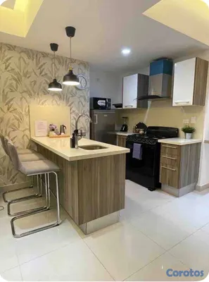 apartamentos - Alquilo Apartamento Amueblado 
1 HAB | Piantini  2