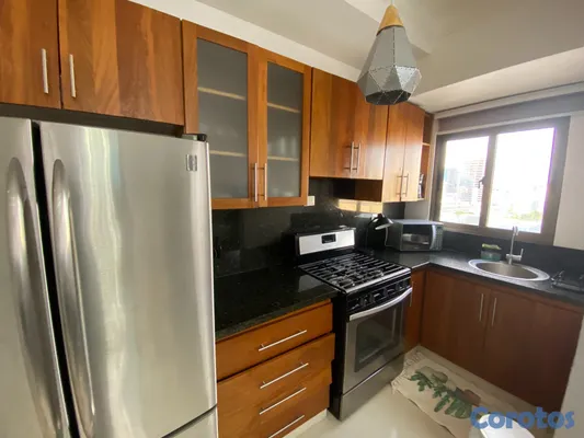 apartamentos - Apartamento Amueblado en alquiler en Piantini 2