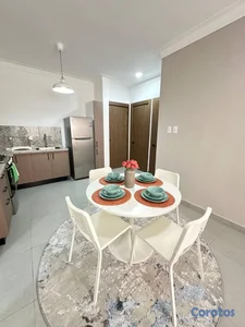 Apartamento de 1 habitacion amueblado en alquiler 