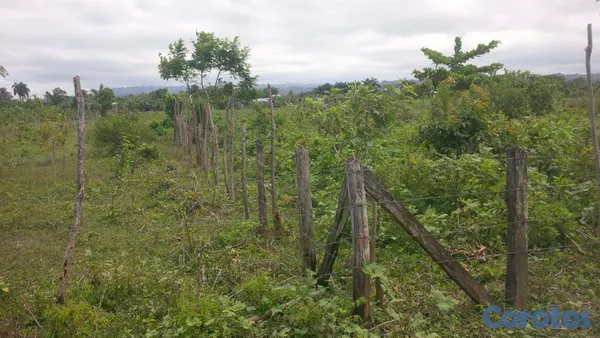 solares y terrenos - Terreno en Sabaneta de Yasica a 7 minutos de cabar 17