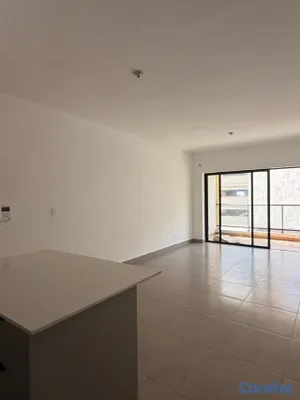 Apartamento en Gazcue, foto 4