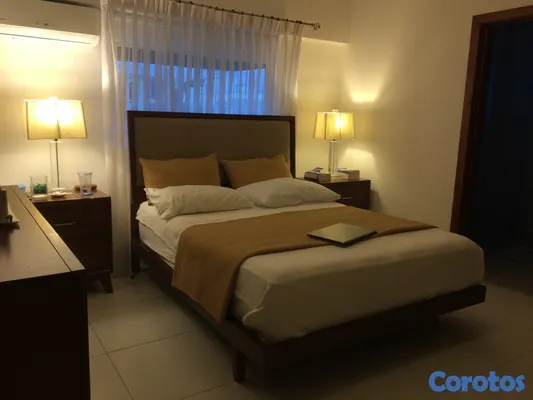 penthouses - Apto. en Gazcue, último piso con terraza 5