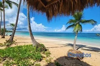 penthouses - Vento penthouse en terrena samana 5